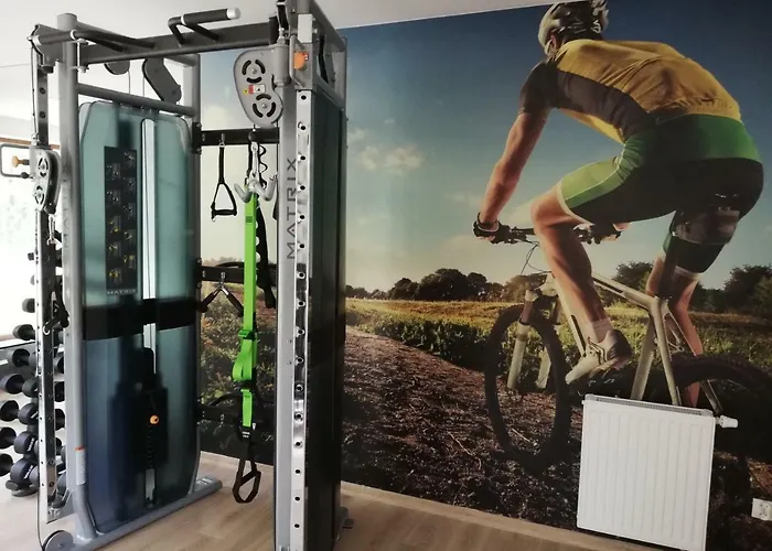 Rafa דירה קולובז'ג